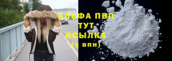 ECSTASY Абаза